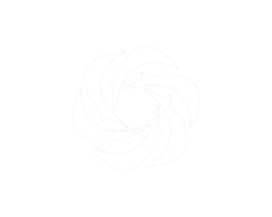 Momentum — cliquez pour changer le thème